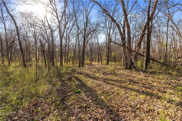 $815,000 | 23529 East Overland Road, Nevada, MO 64772