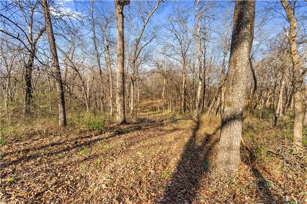 $850,000 | 23529 East Overland Road, Nevada, MO 64772