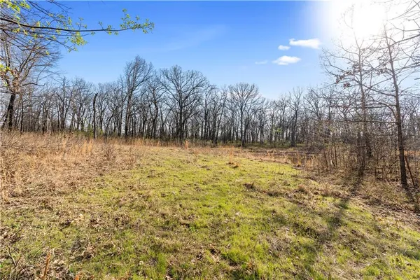 $815,000 | 23529 East Overland Road, Nevada, MO 64772