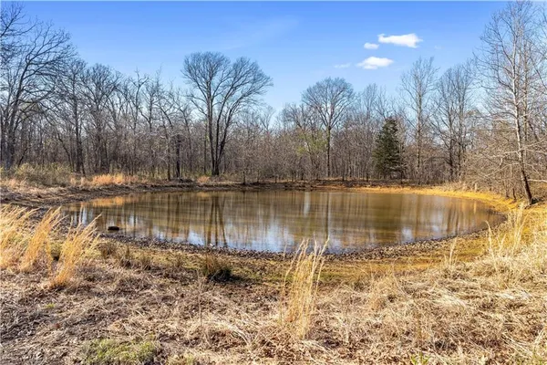 $850,000 | 23529 East Overland Road, Nevada, MO 64772