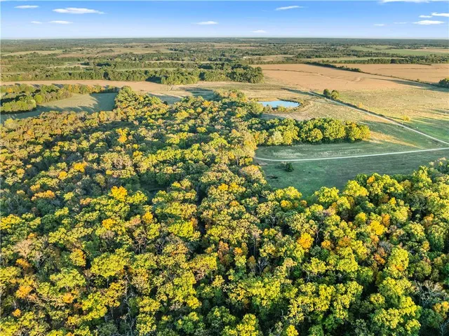 $875,000 | 23529 East Overland Road, Nevada, MO 64772