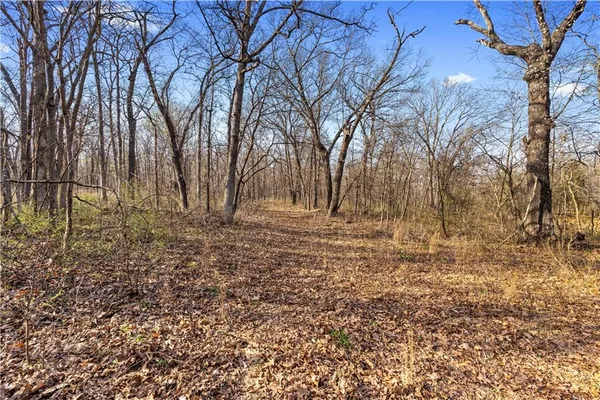 $850,000 | 23529 East Overland Road, Nevada, MO 64772