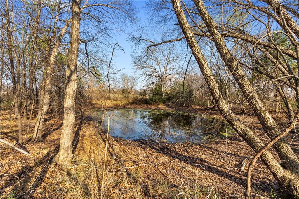 23529 East Overland Road Nevada, MO 64772 - Photo 67 of 99