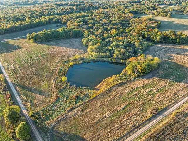 $875,000 | 23529 East Overland Road, Nevada, MO 64772