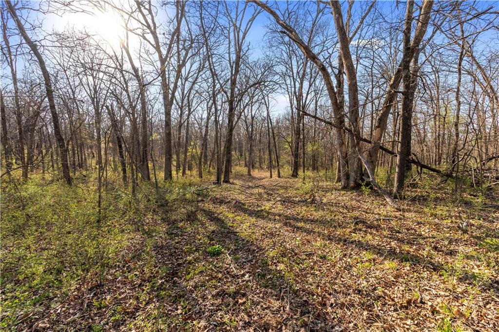 23529 East Overland Road Nevada, MO 64772 - Photo 68 of 99