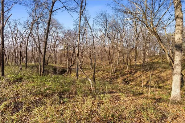 $850,000 | 23529 East Overland Road, Nevada, MO 64772