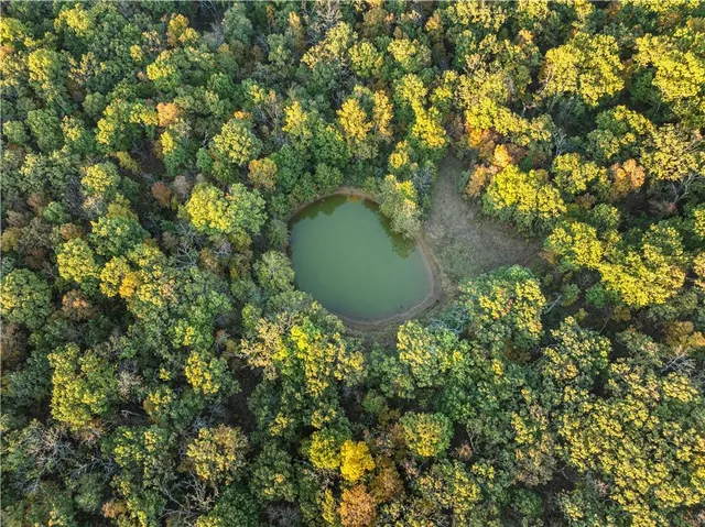 $875,000 | 23529 East Overland Road, Nevada, MO 64772