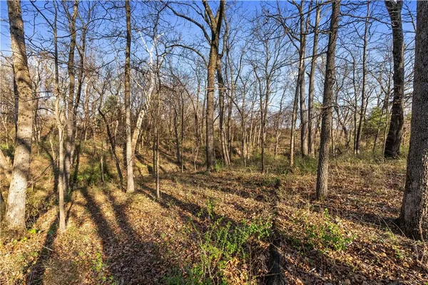$850,000 | 23529 East Overland Road, Nevada, MO 64772