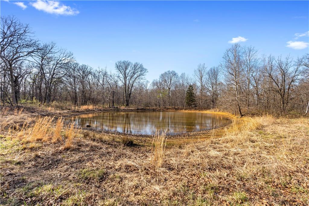 23529 East Overland Road Nevada, MO 64772 - Photo 72 of 99