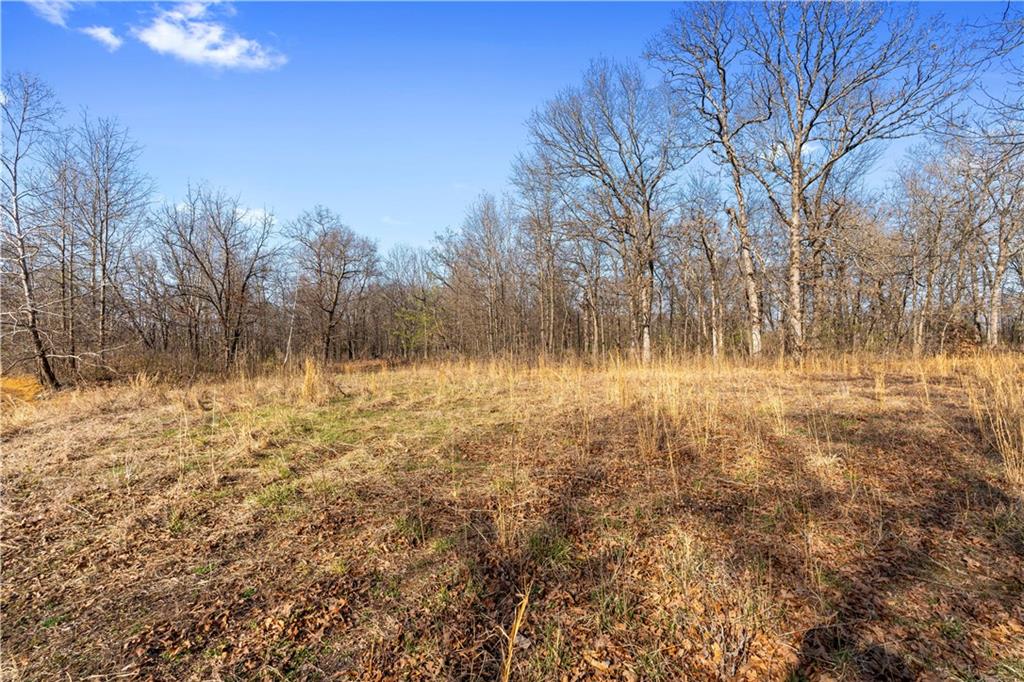 23529 East Overland Road Nevada, MO 64772 - Photo 73 of 99