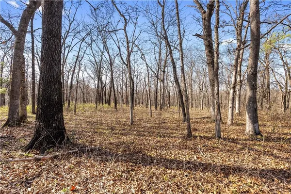 $850,000 | 23529 East Overland Road, Nevada, MO 64772