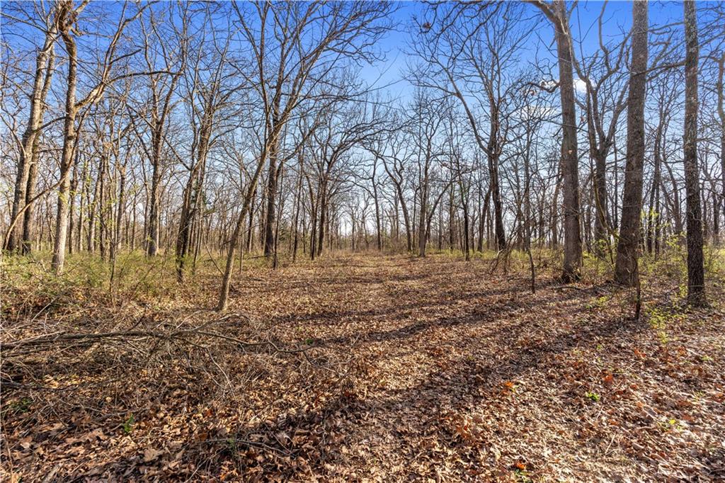 23529 East Overland Road Nevada, MO 64772 - Photo 75 of 99