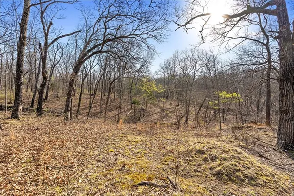 $815,000 | 23529 East Overland Road, Nevada, MO 64772