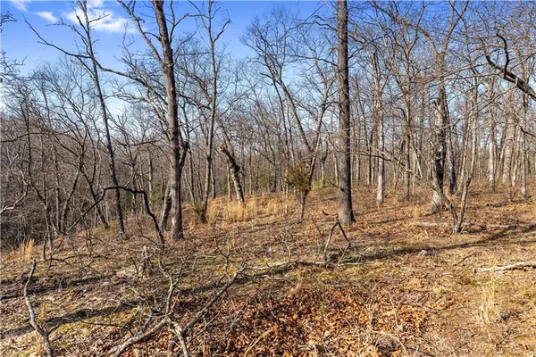 $815,000 | 23529 East Overland Road, Nevada, MO 64772