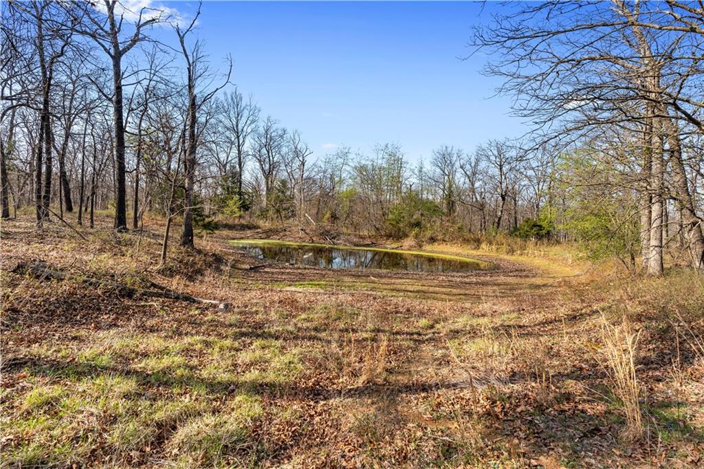 23529 East Overland Road Nevada, MO 64772 - Photo 80 of 99