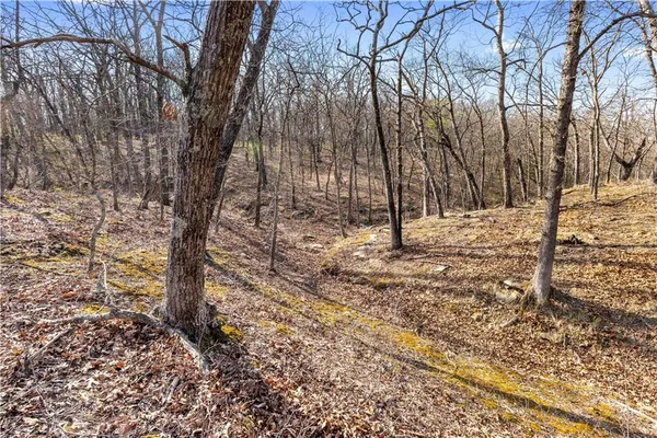 $850,000 | 23529 East Overland Road, Nevada, MO 64772