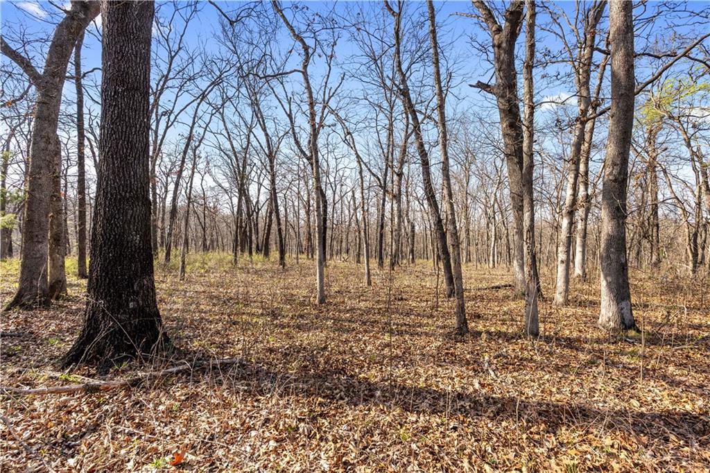 23529 East Overland Road Nevada, MO 64772 - Photo 81 of 99