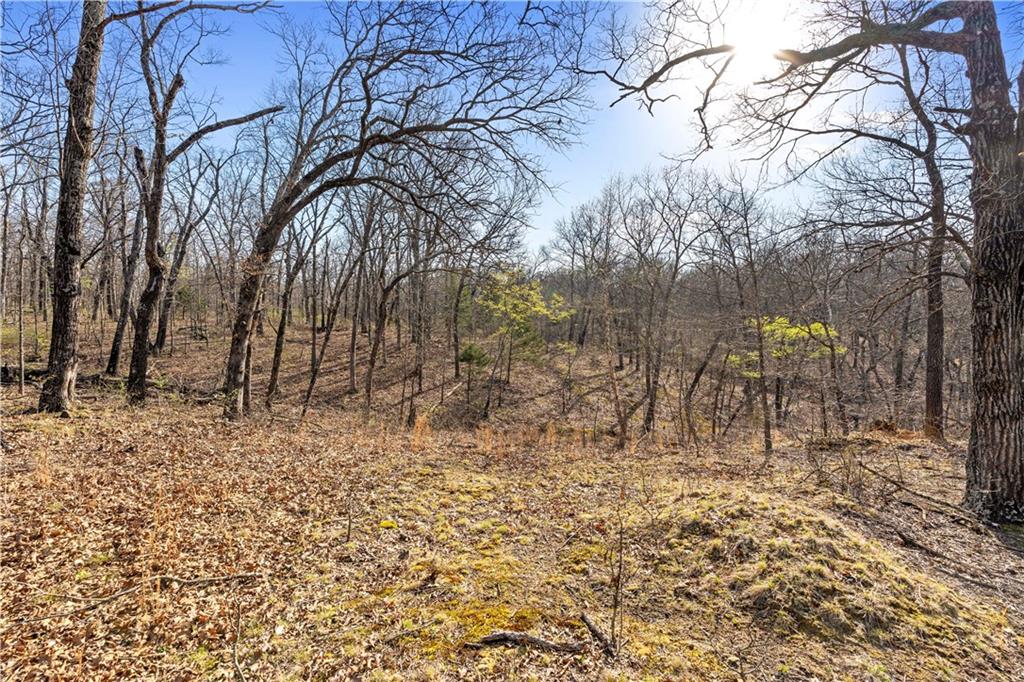 23529 East Overland Road Nevada, MO 64772 - Photo 82 of 99