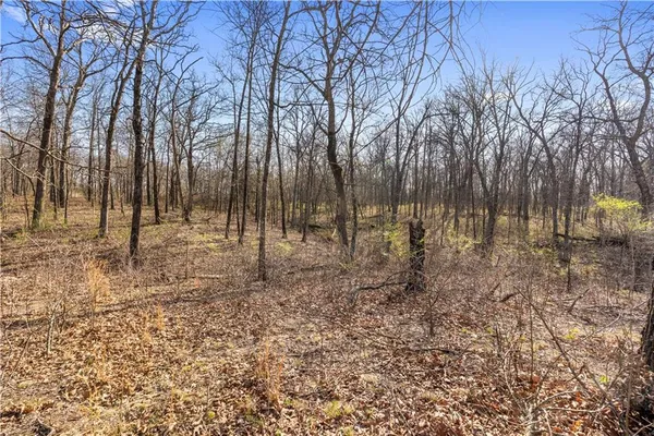$815,000 | 23529 East Overland Road, Nevada, MO 64772