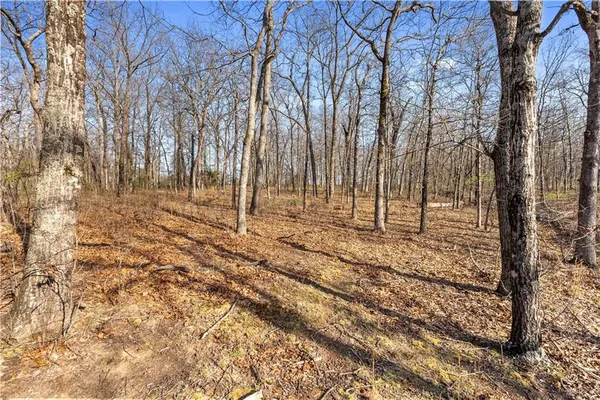 $815,000 | 23529 East Overland Road, Nevada, MO 64772