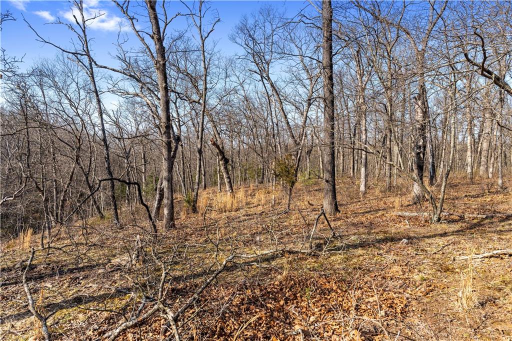 23529 East Overland Road Nevada, MO 64772 - Photo 85 of 99