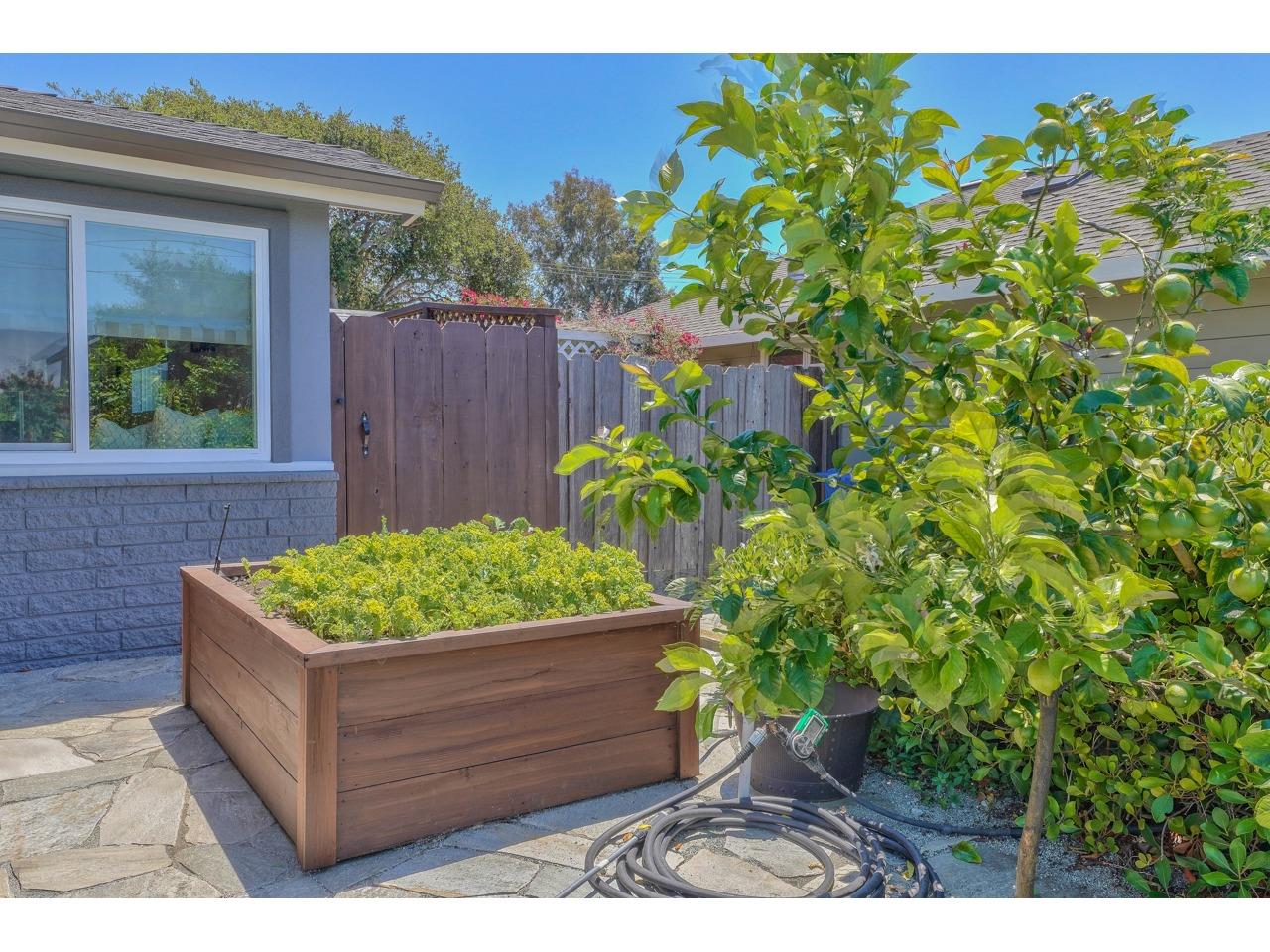 73 Melway Circle Monterey, CA 93940 - Photo 45 of 46 a wooden box filled with plants and flowers
