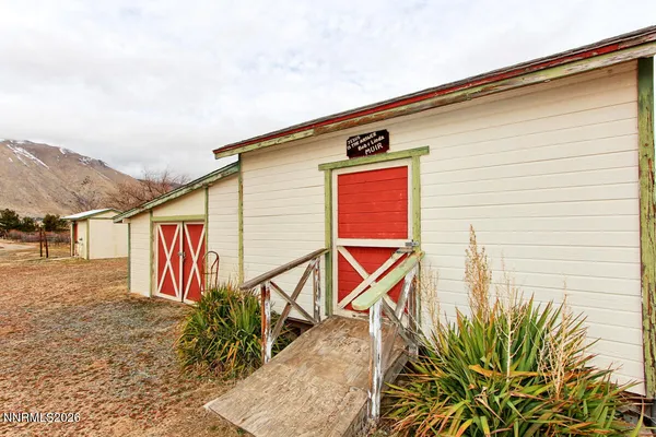 a view of a large tree in front of a house