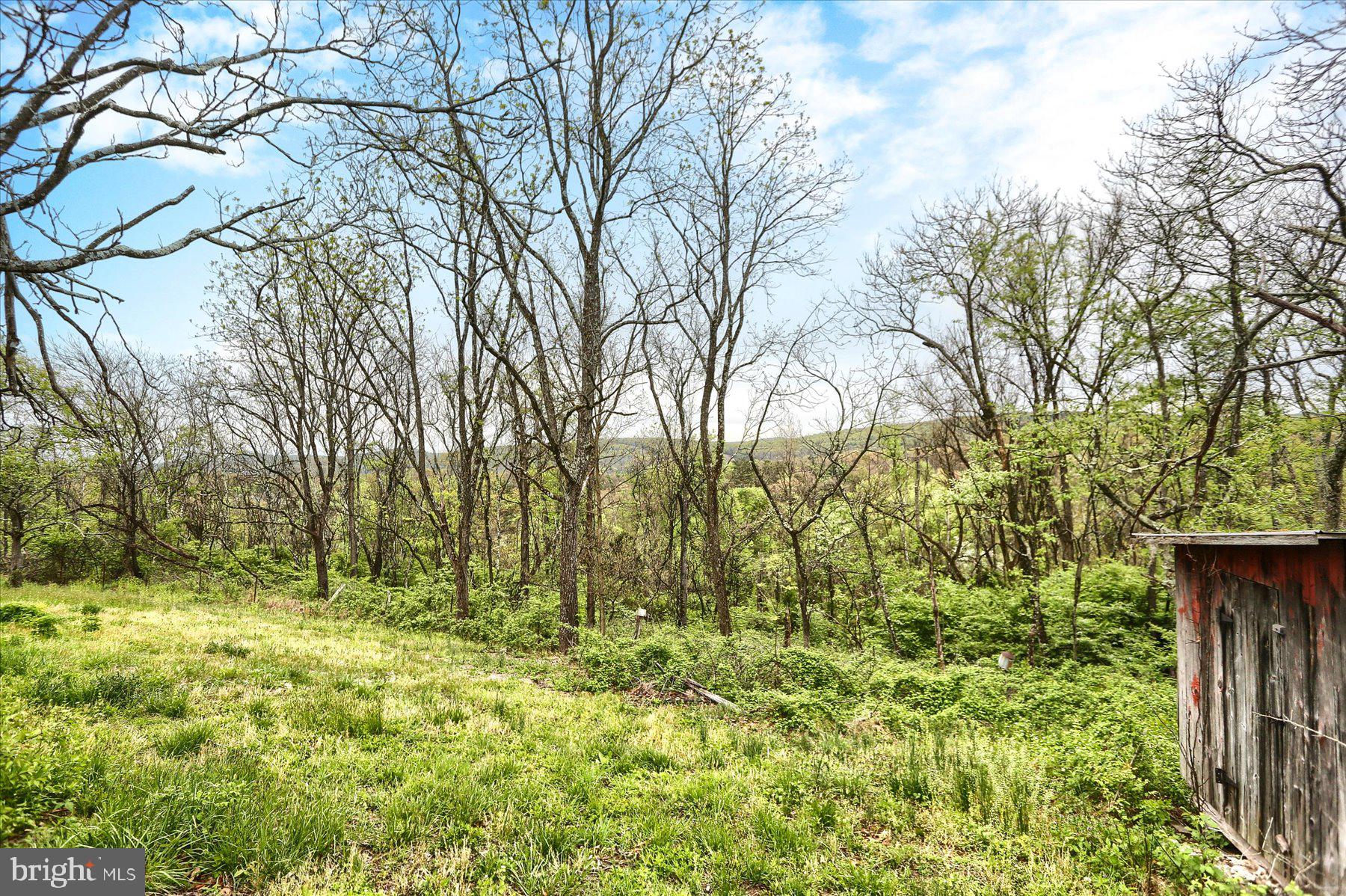4401 Middle Ridge Road Newport, PA 17074 - Photo 43 of 76 Gallery Image 43