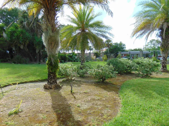 a view of a yard with a tree