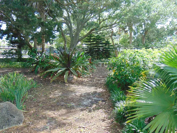 a picture of plants