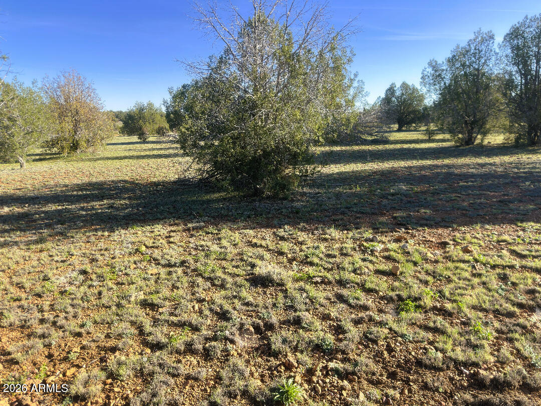 15723 High Tank Road Williams, AZ 86046 - Photo 11 of 18 a view of a yard with an outdoor space