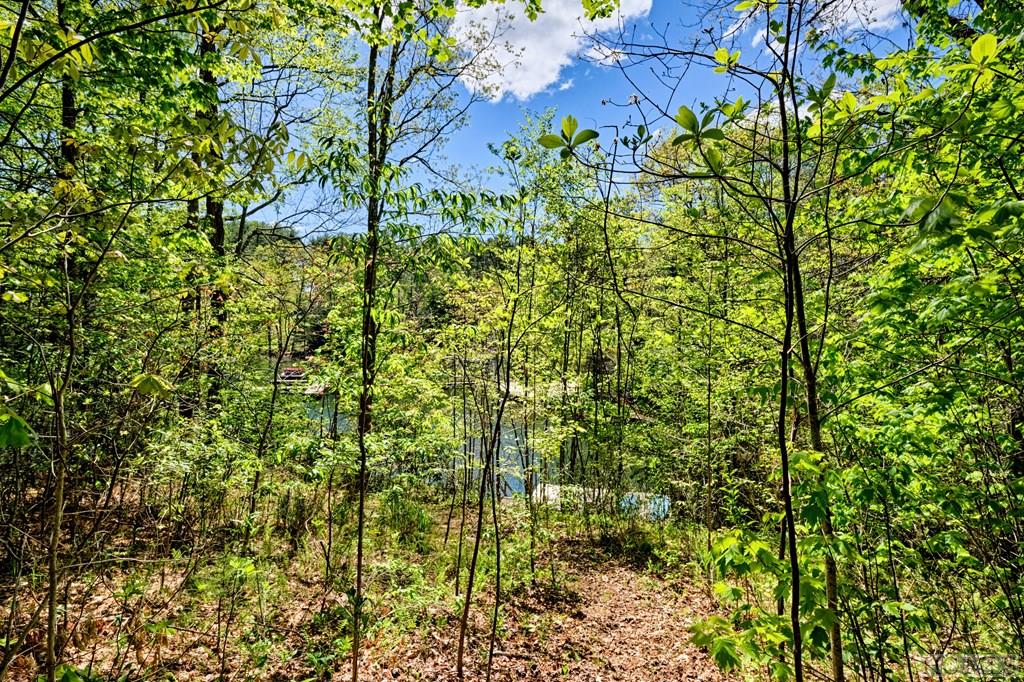 75 Gunpoint Road Cullowhee, NC 28723 - Photo 23 of 23 Gallery Image 23