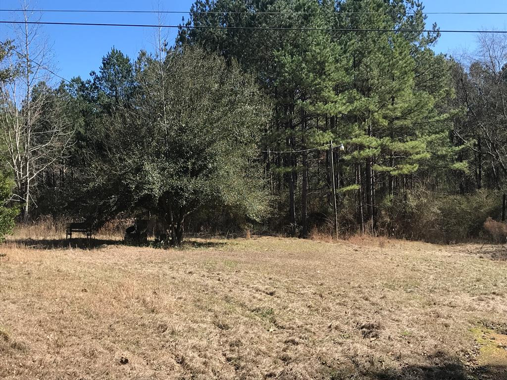 3172 Enterprise Road Summit, MS 39666 - Photo 1 of 1 Main View