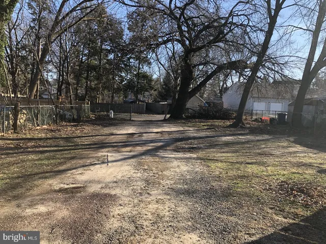 a view of dirt yard with a large trees