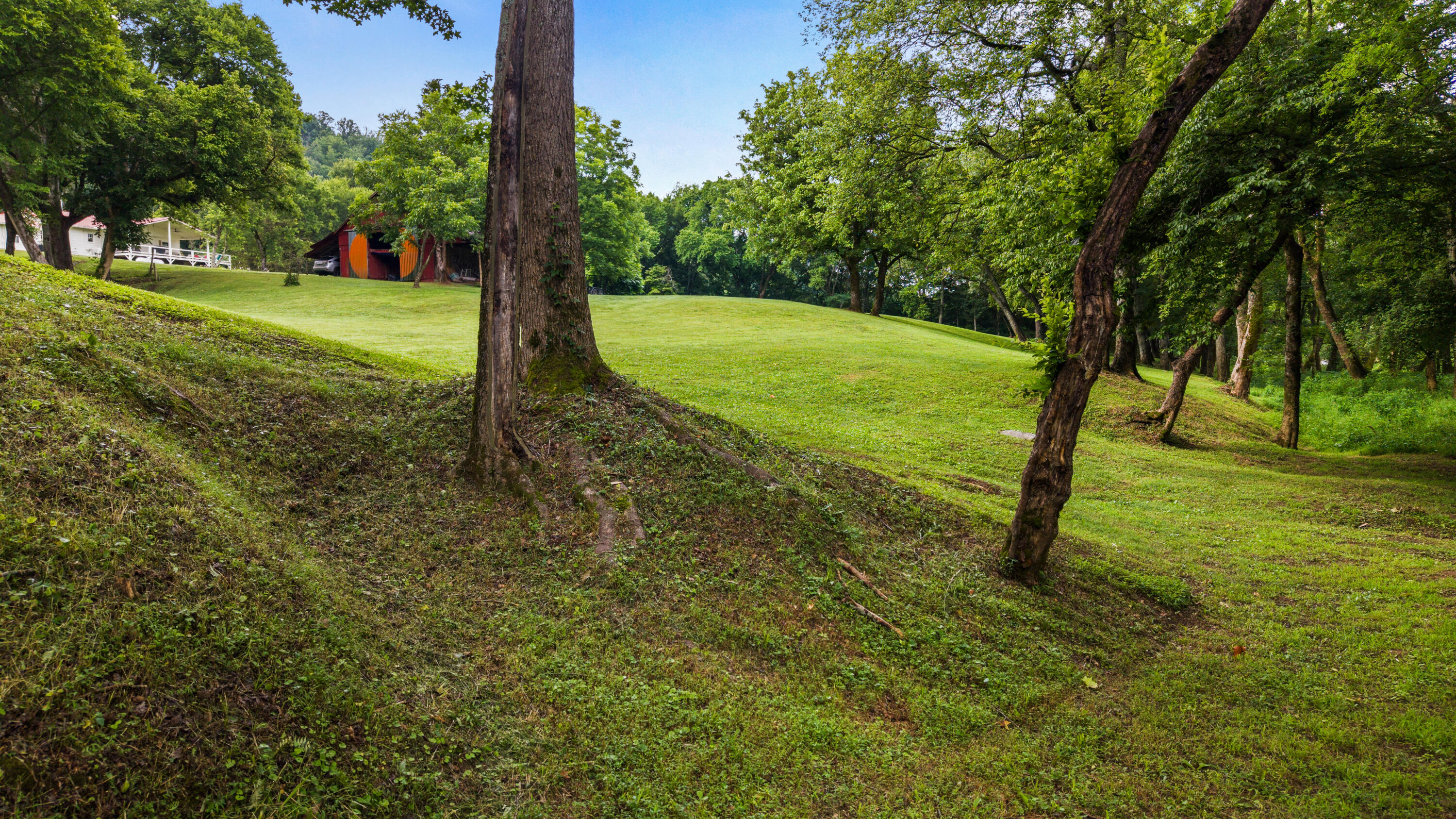 49 Hart Of Pine Road Dunlap, TN 37327 - Photo 9 of 126 VISIT THE RIVER
