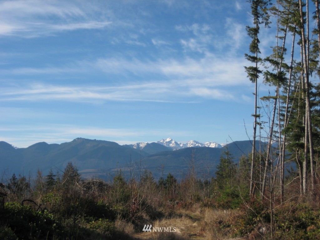 -xxxxx Coyle Road Quilcene, WA 98376 - Photo 1 of 1