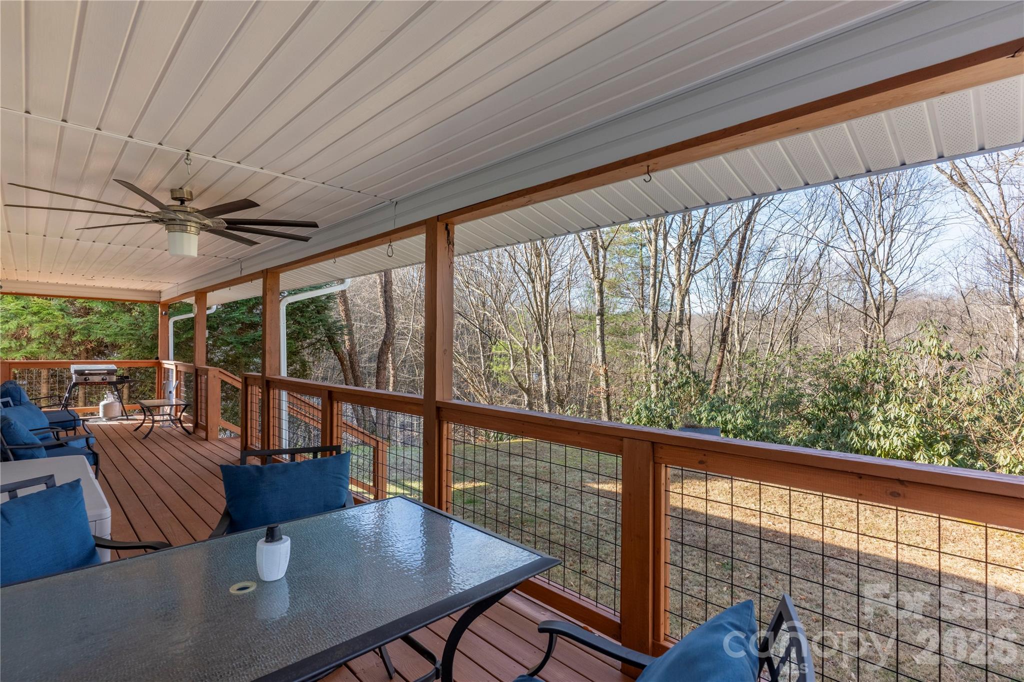 245 Tip Field Road Brevard, NC 28712 - Photo 20 of 33