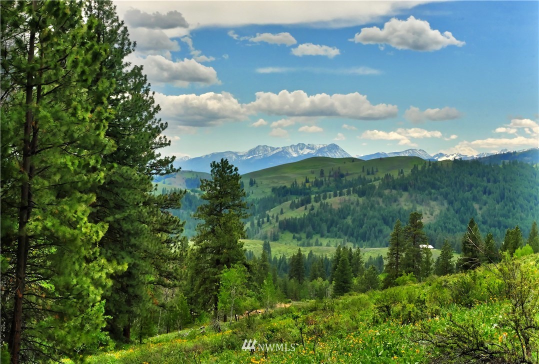 174 Cub Creek Road Winthrop, WA 98862 - Photo 13 of 40 Gallery Image 13