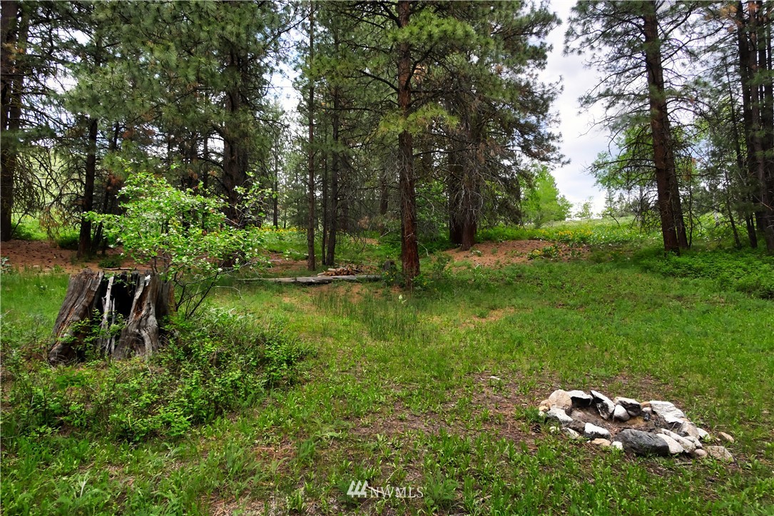 174 Cub Creek Road Winthrop, WA 98862 - Photo 15 of 40 Gallery Image 15