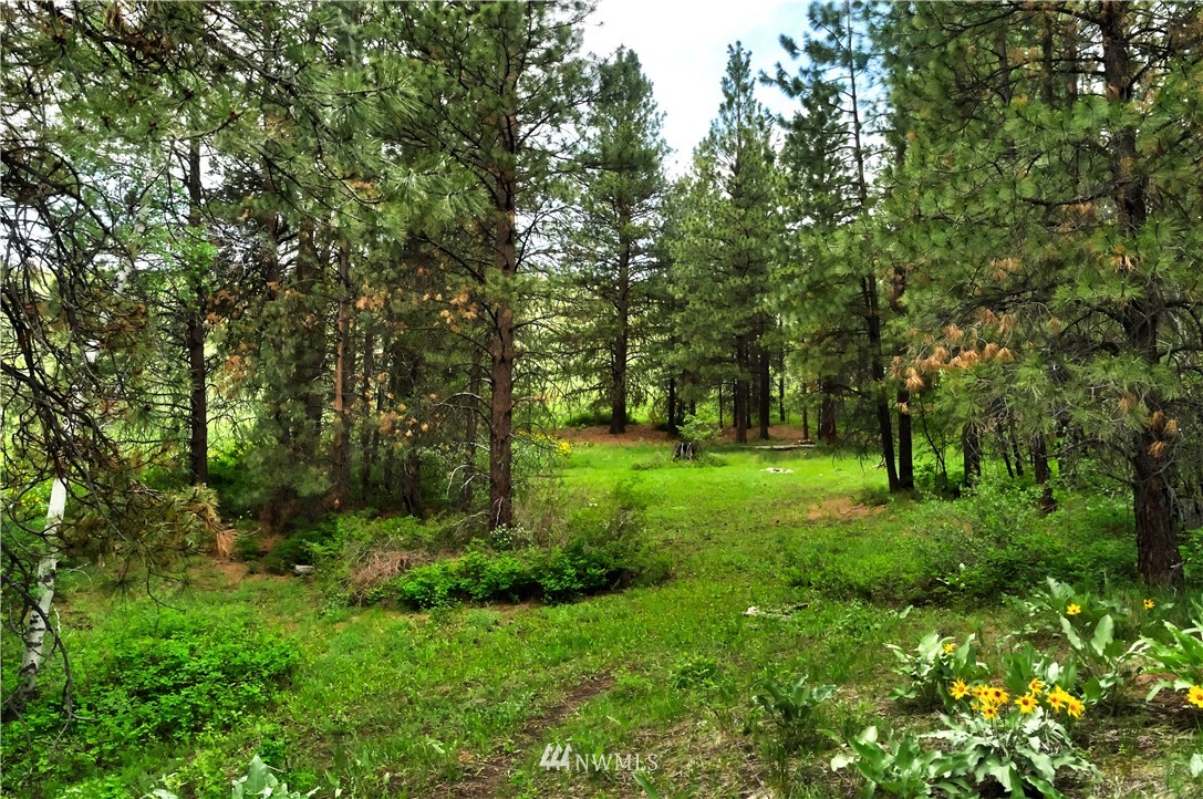 174 Cub Creek Road Winthrop, WA 98862 - Photo 20 of 40 Gallery Image 20
