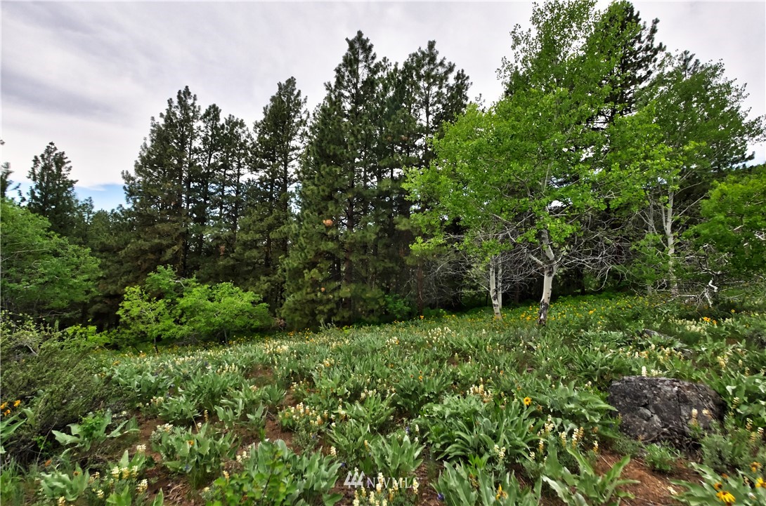 174 Cub Creek Road Winthrop, WA 98862 - Photo 22 of 40 Gallery Image 22