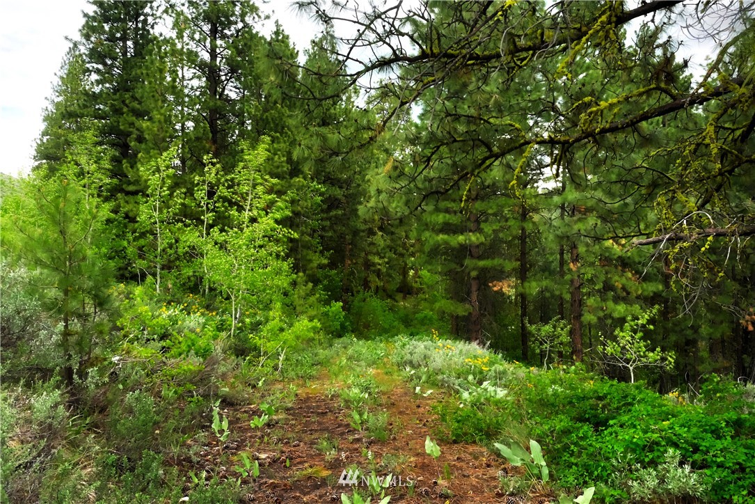 174 Cub Creek Road Winthrop, WA 98862 - Photo 24 of 40 Gallery Image 24