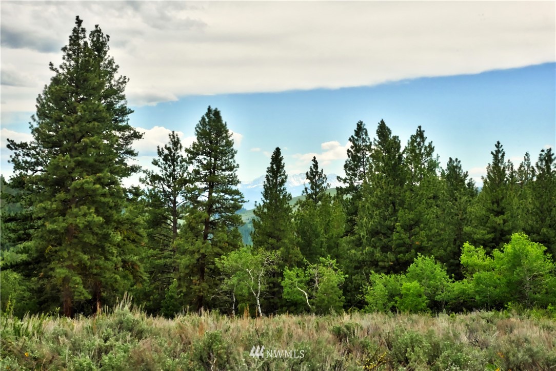 174 Cub Creek Road Winthrop, WA 98862 - Photo 25 of 40 Gallery Image 25