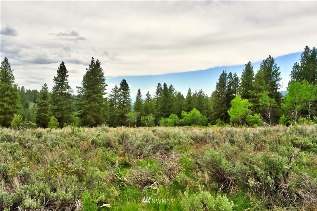 174 Cub Creek Road Winthrop, WA 98862 - Photo 26 of 40 Gallery Image 26