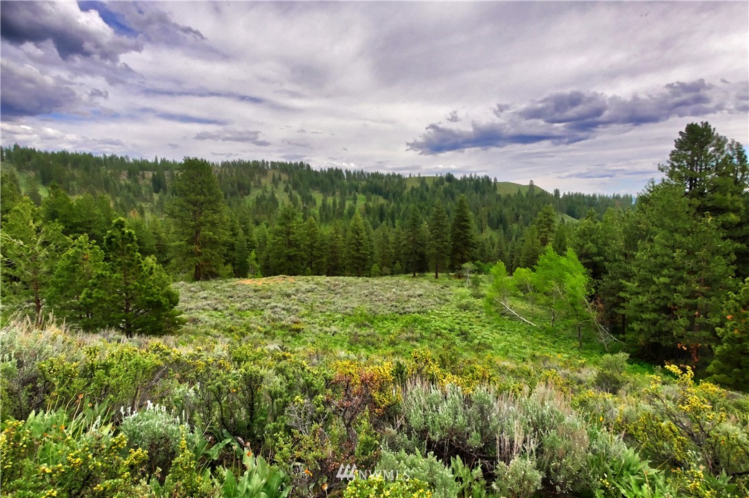 174 Cub Creek Road Winthrop, WA 98862 - Photo 30 of 40 Gallery Image 30