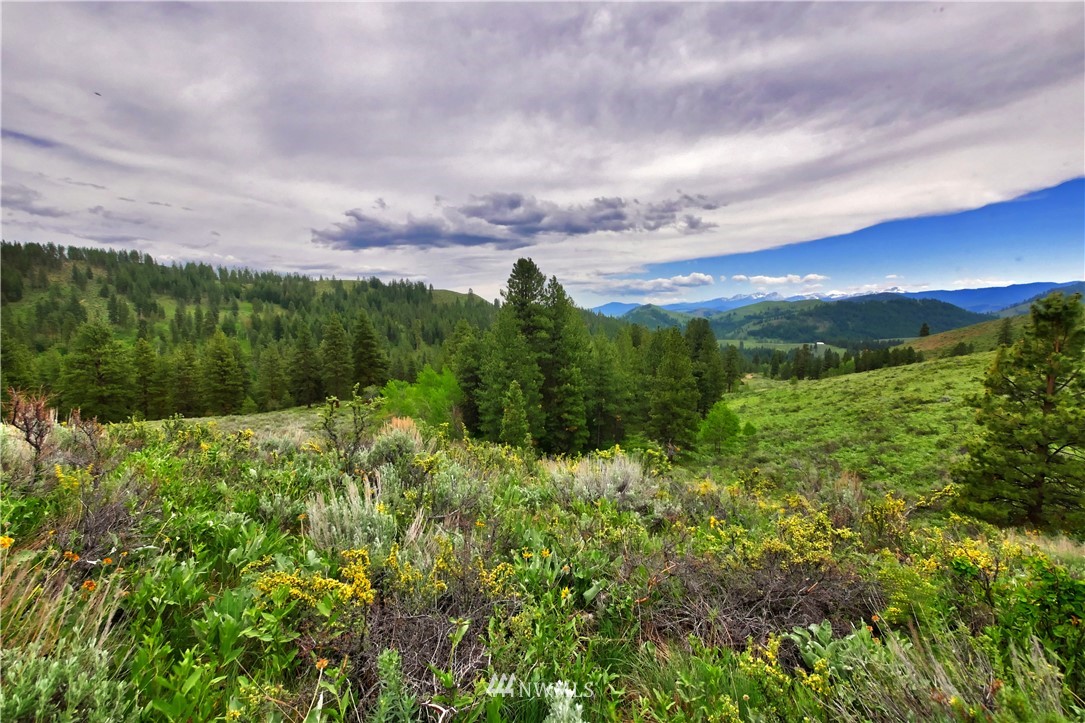 174 Cub Creek Road Winthrop, WA 98862 - Photo 31 of 40 Gallery Image 31