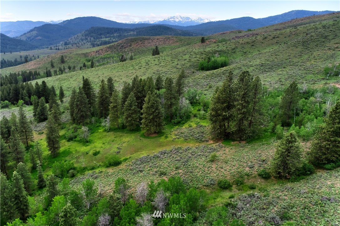 174 Cub Creek Road Winthrop, WA 98862 - Photo 33 of 40 Gallery Image 33