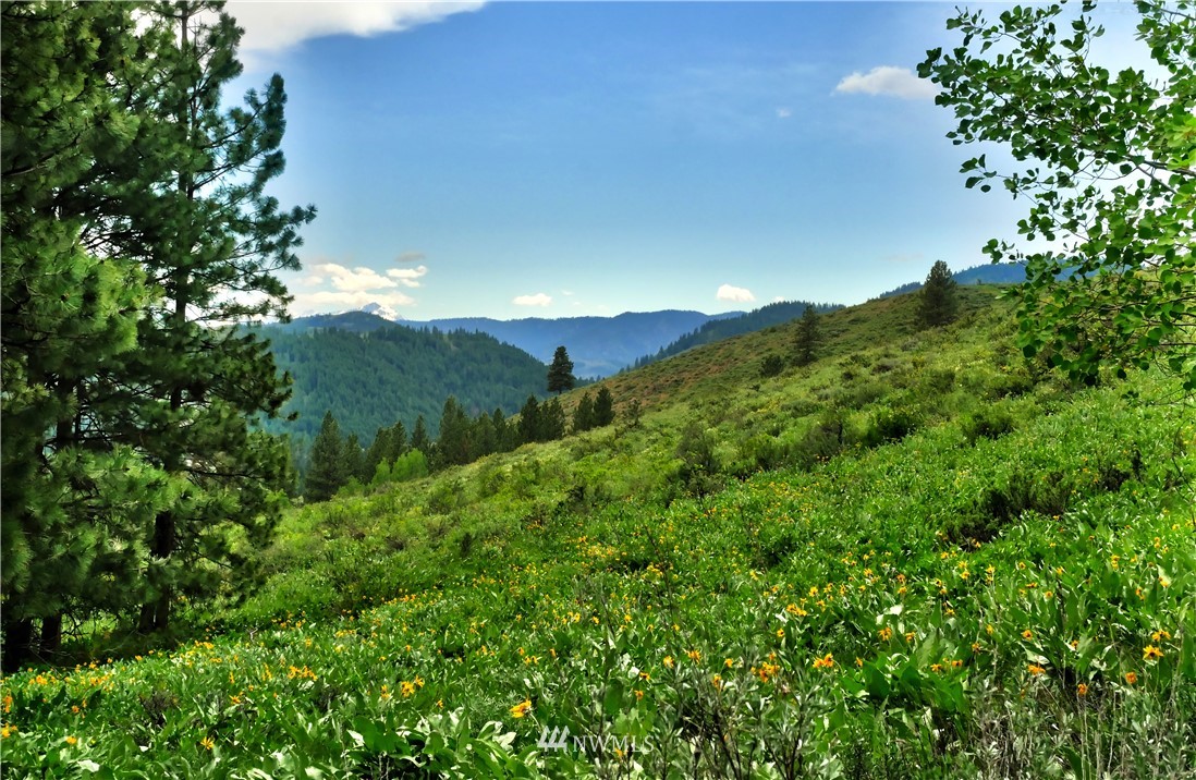 174 Cub Creek Road Winthrop, WA 98862 - Photo 34 of 40 Gallery Image 34