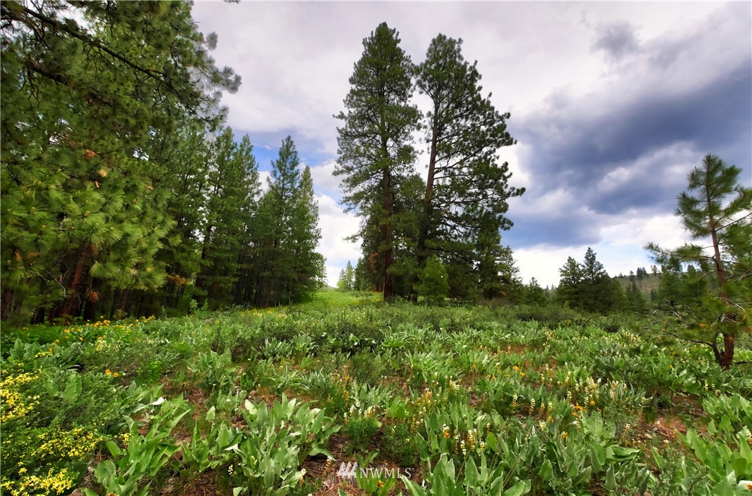 174 Cub Creek Road Winthrop, WA 98862 - Photo 36 of 40 Gallery Image 36