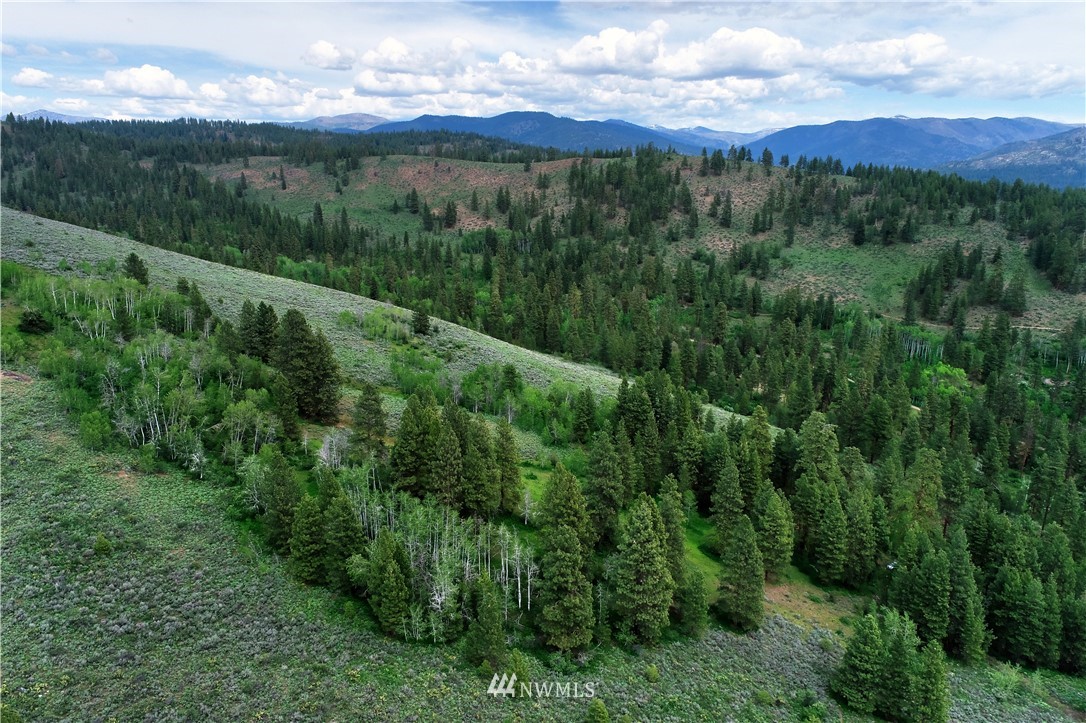 174 Cub Creek Road Winthrop, WA 98862 - Photo 39 of 40 Gallery Image 39